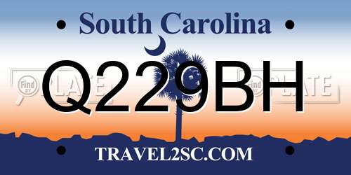Q229BH South Carolina License Plate