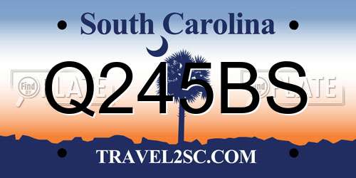 Q245BS South Carolina License Plate