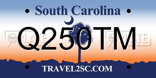 Q250TM South Carolina License Plate