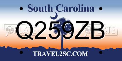 Q259ZB South Carolina License Plate