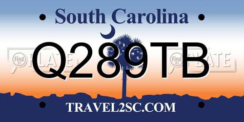 Q289TB South Carolina License Plate