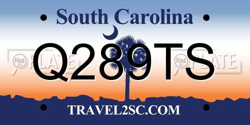Q289TS South Carolina License Plate