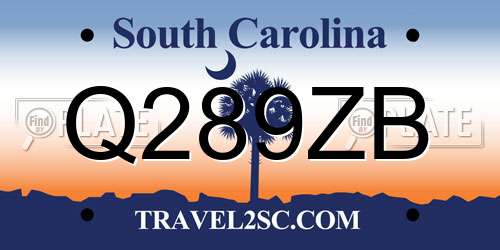 Q289ZB South Carolina License Plate
