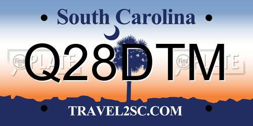 Q28DTM South Carolina License Plate