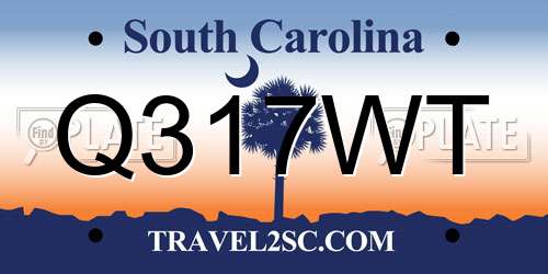 Q317WT South Carolina License Plate
