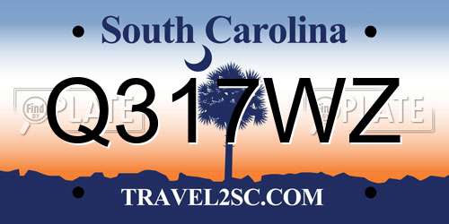 Q317WZ South Carolina License Plate