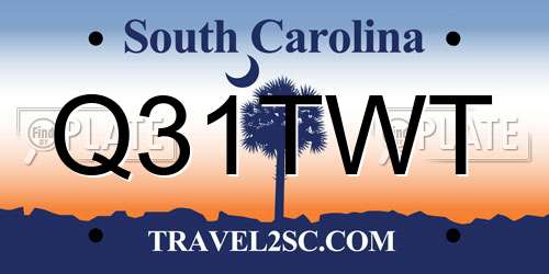 Q31TWT South Carolina License Plate