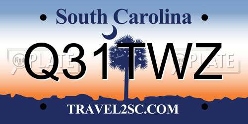 Q31TWZ South Carolina License Plate