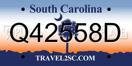 Q42558D South Carolina License Plate