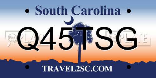Q45TSG South Carolina License Plate