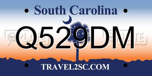 Q529DM South Carolina License Plate