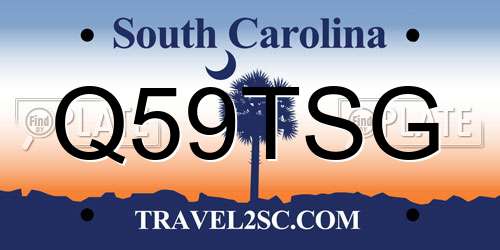 Q59TSG South Carolina License Plate