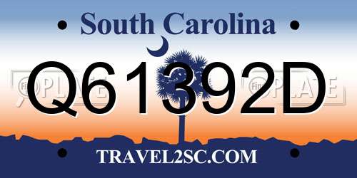 Q61392D South Carolina License Plate
