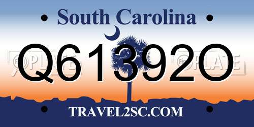 Q61392O South Carolina License Plate