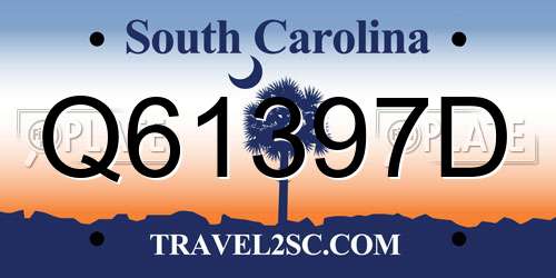Q61397D South Carolina License Plate