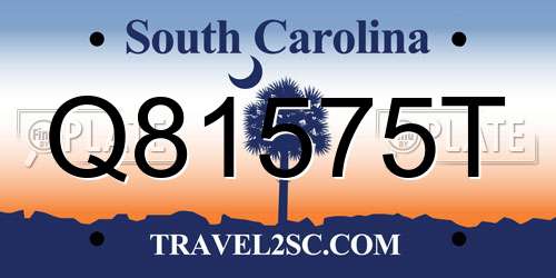 Q81575T South Carolina License Plate