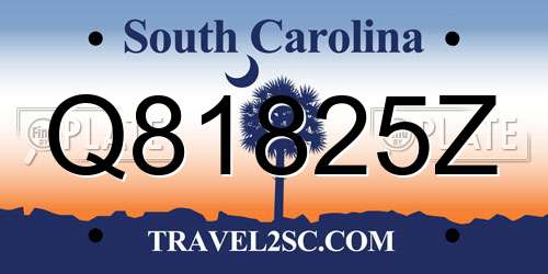 Q81825Z South Carolina License Plate