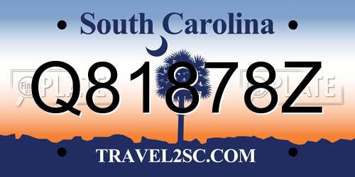 Q81878Z South Carolina License Plate