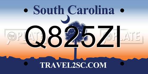 Q825ZI South Carolina License Plate