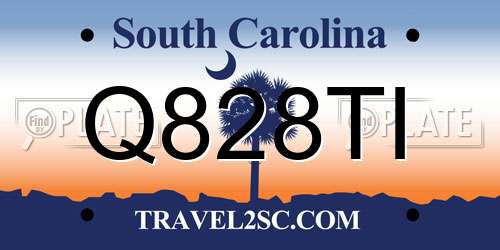 Q828TI South Carolina License Plate