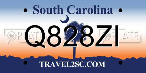 Q828ZI South Carolina License Plate