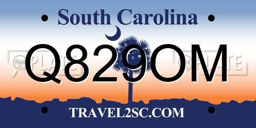 Q829OM South Carolina License Plate