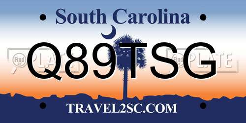Q89TSG South Carolina License Plate