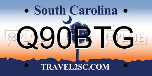 Q90BTG South Carolina License Plate