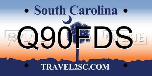 Q90FDS South Carolina License Plate
