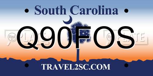 Q90FOS South Carolina License Plate