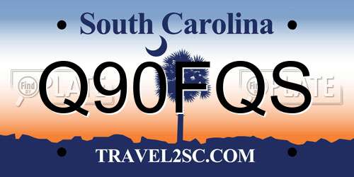 Q90FQS South Carolina License Plate