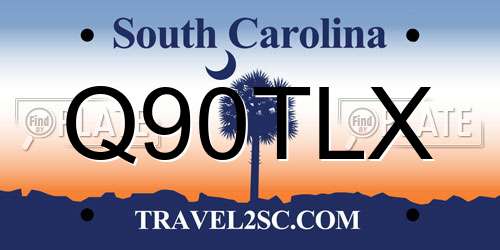Q90TLX South Carolina License Plate