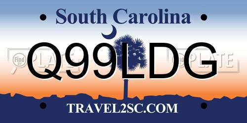 Q99LDG South Carolina License Plate