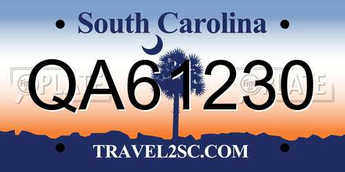 QA61230 South Carolina License Plate