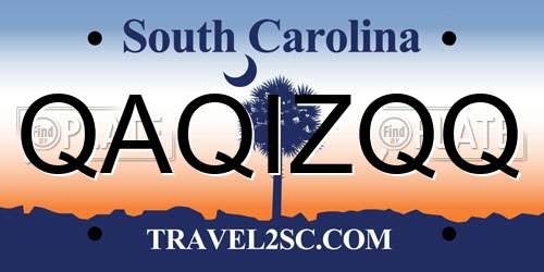 QAQIZQQ South Carolina License Plate