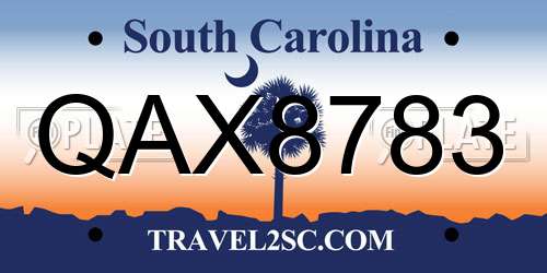 QAX8783 South Carolina License Plate
