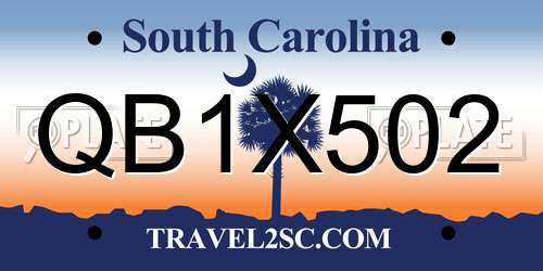 QB1X502 South Carolina License Plate