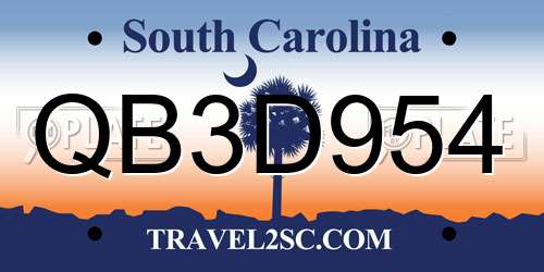 QB3D954 South Carolina License Plate
