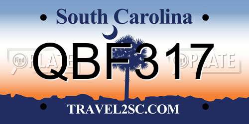 QBF317 South Carolina License Plate