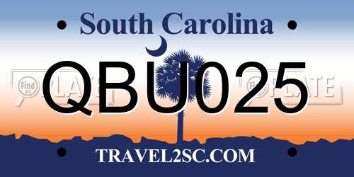 QBU025 South Carolina License Plate