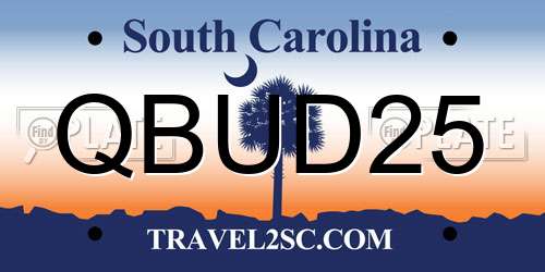 QBUD25 South Carolina License Plate