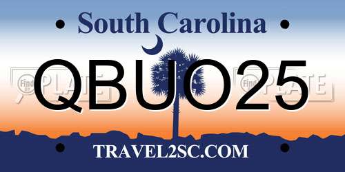 QBUO25 South Carolina License Plate
