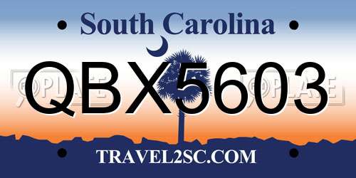 QBX5603 South Carolina License Plate