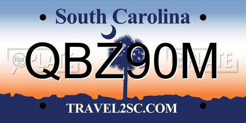 QBZ90M South Carolina License Plate