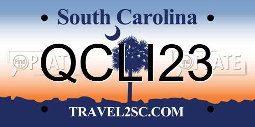 QCLI23 South Carolina License Plate
