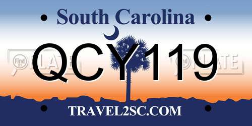 QCY119 South Carolina License Plate