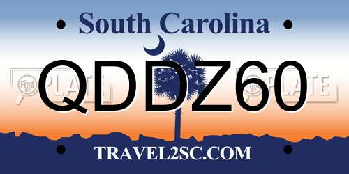 QDDZ60 South Carolina License Plate