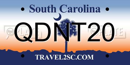 QDNT20 South Carolina License Plate