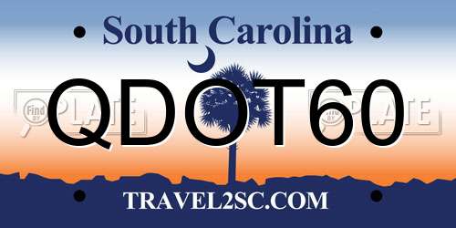 QDOT60 South Carolina License Plate