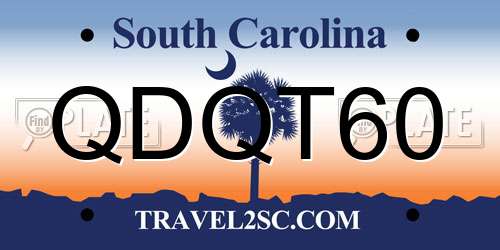 QDQT60 South Carolina License Plate